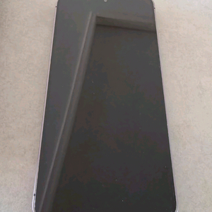 [미국 자급제] 갤럭시 S24 256G 블랙