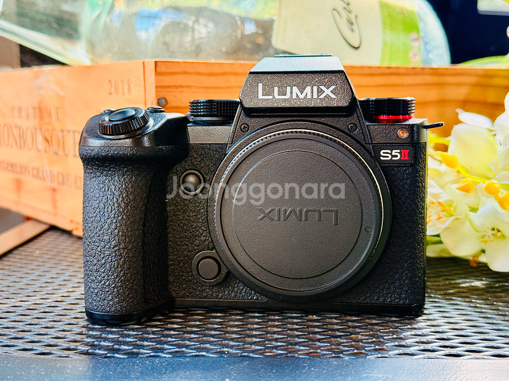 파나소닉 루믹스 s5m2 S5II 카메라를 판매 합니다--1