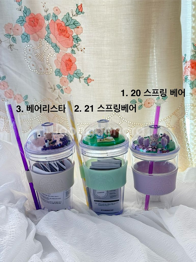 스타벅스 베어리 돔 콜드컵--0