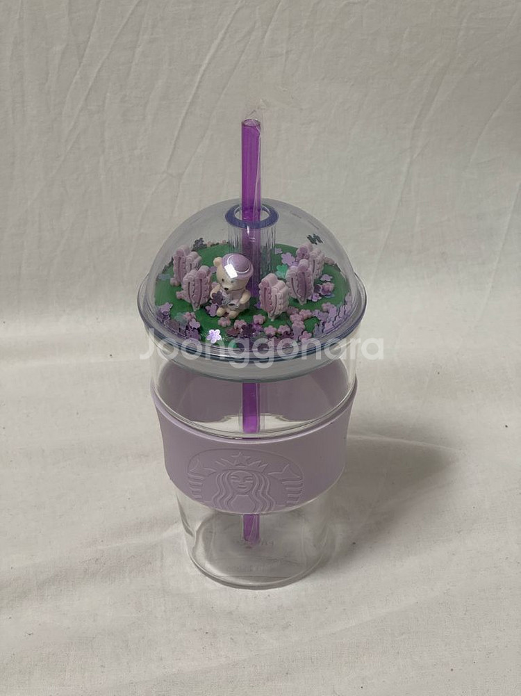 스타벅스 베어리 돔 콜드컵--1