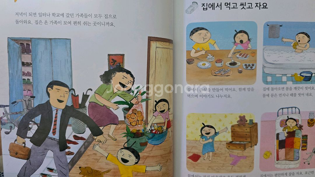 웅진 호기심 백과 큐 50권--3