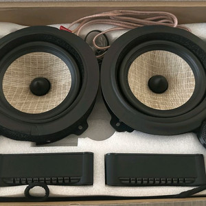 Focal Flax EVO PS 165 FXE 스피커