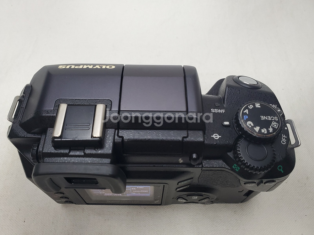 Olympus E-300 with 14-45mm 렌즈--1