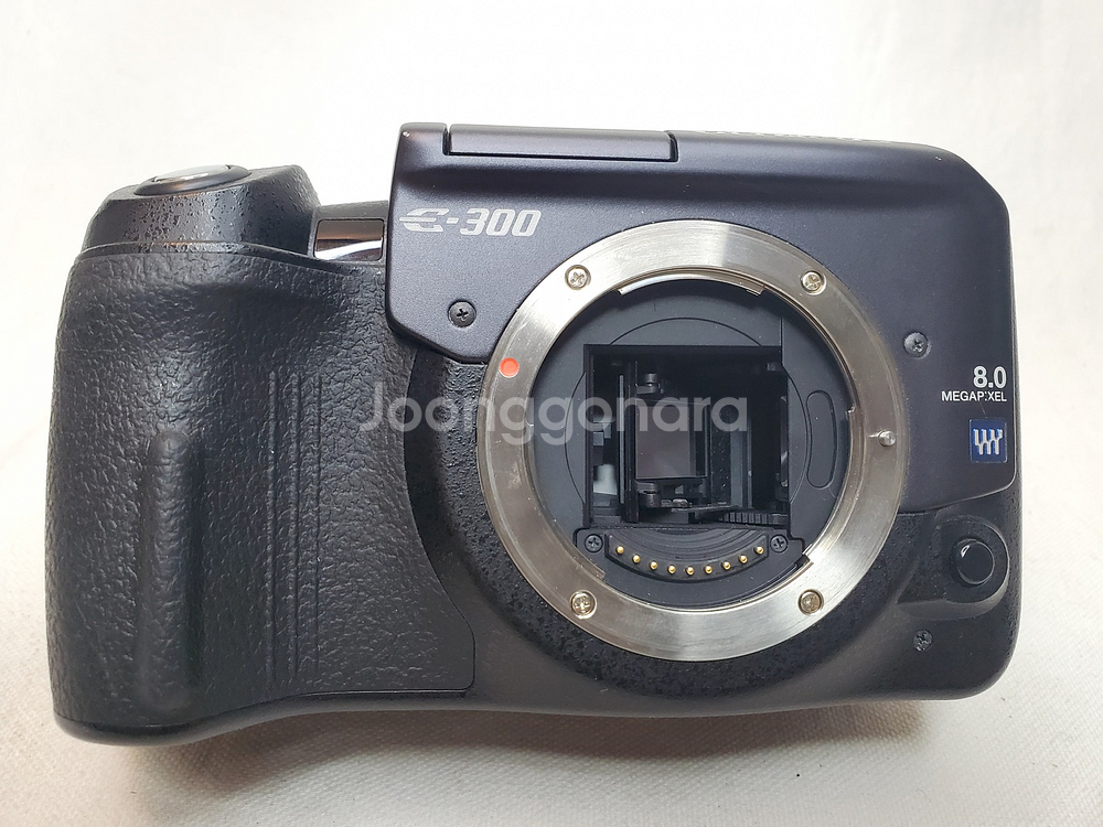 Olympus E-300 with 14-45mm 렌즈--2