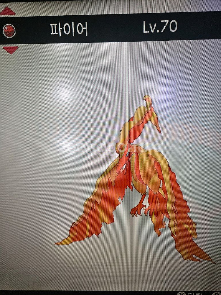 이로치 가라르 파이어--0