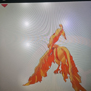 이로치 가라르 파이어