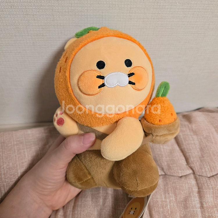제주 감귤 춘식이 인형--0