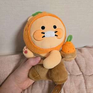 제주 감귤 춘식이 인형