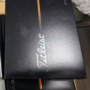 타이틀 2025 pro v1