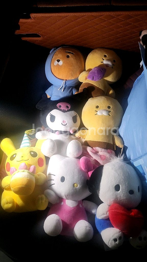 뽑기인형--0