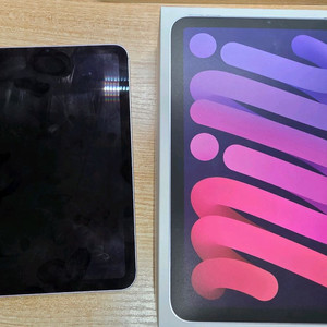 아이패드 미니7 셀룰러 애케플O