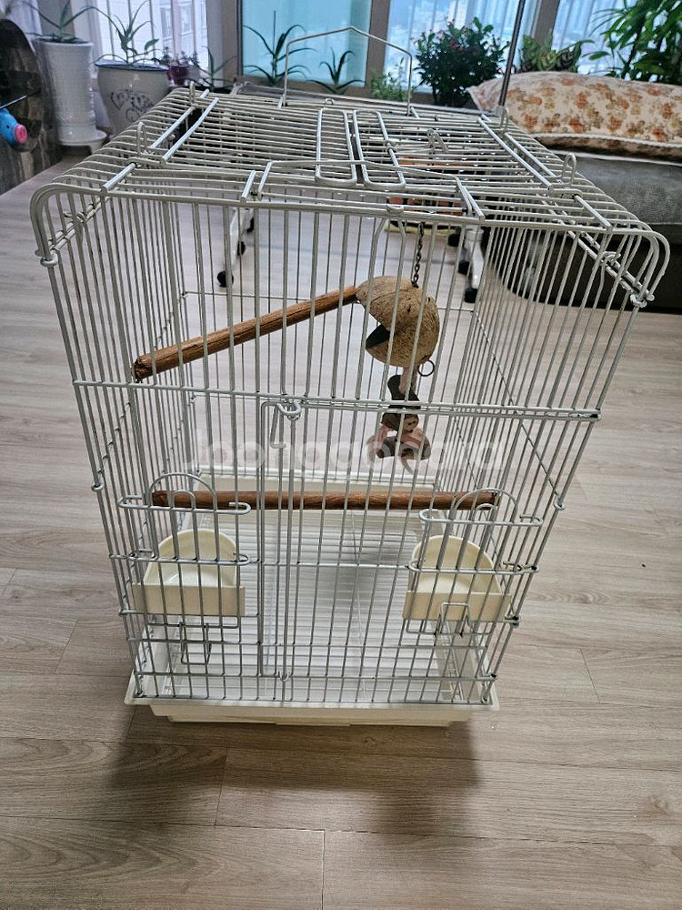 대형 새장팝니다 세척완료 새 앵무새--0