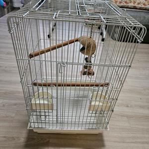 대형 새장팝니다 세척완료 새 앵무새