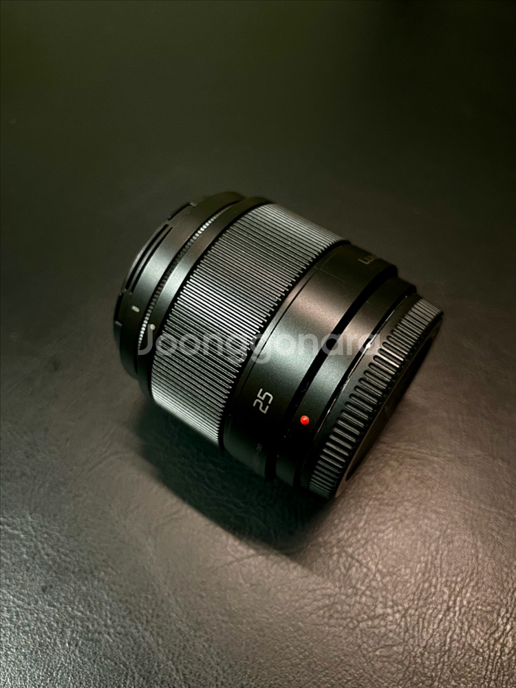 파나소닉 Lumix 25mm F1.7 렌즈--3