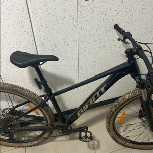 자이언트 타론0 2025 이미지