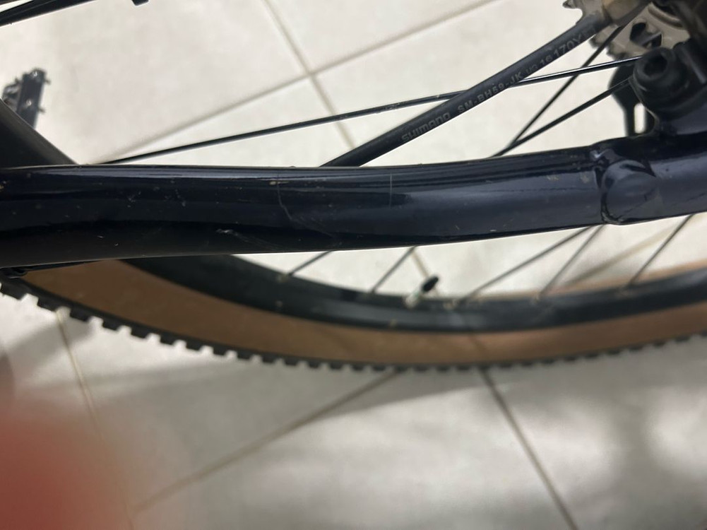 자이언트 타론0 2025 이미지