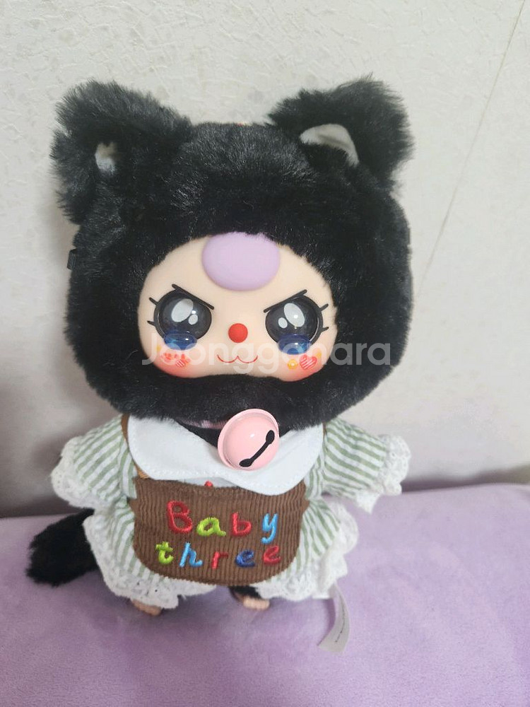베이비쓰리 100% 고양이 옷장 고양이 판매합니다--0