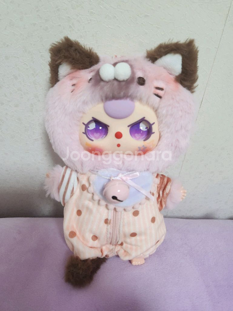 베이비쓰리 100% 고양이 옷장 고양이 판매합니다--1