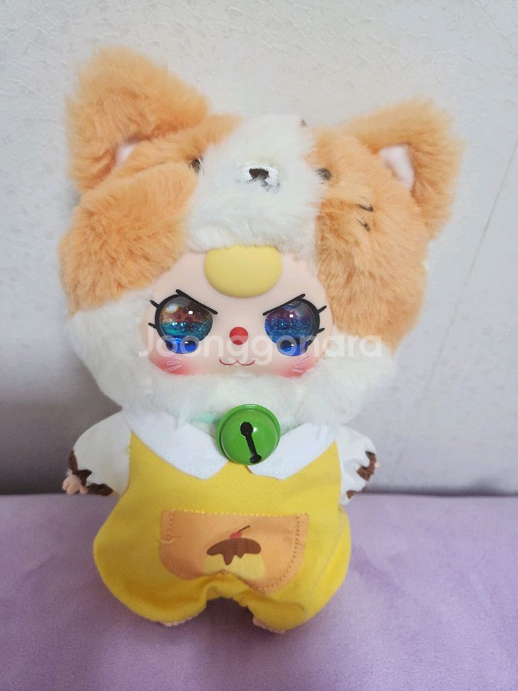 베이비쓰리 100% 고양이 옷장 고양이 판매합니다--2