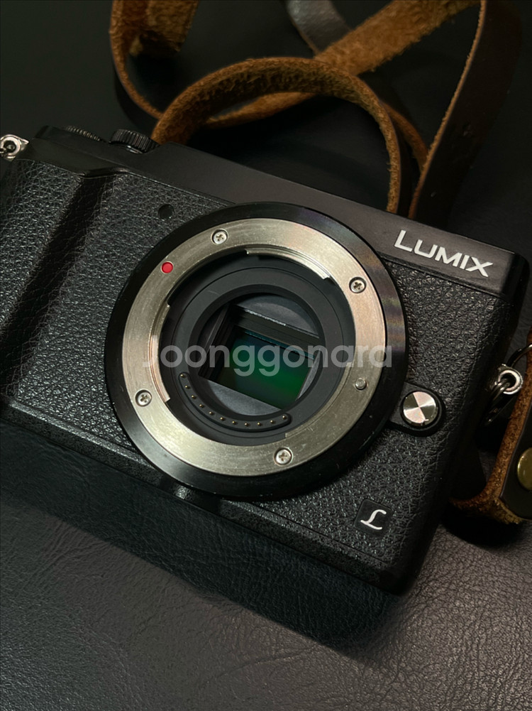 파나소닉 루믹스 gx85--2
