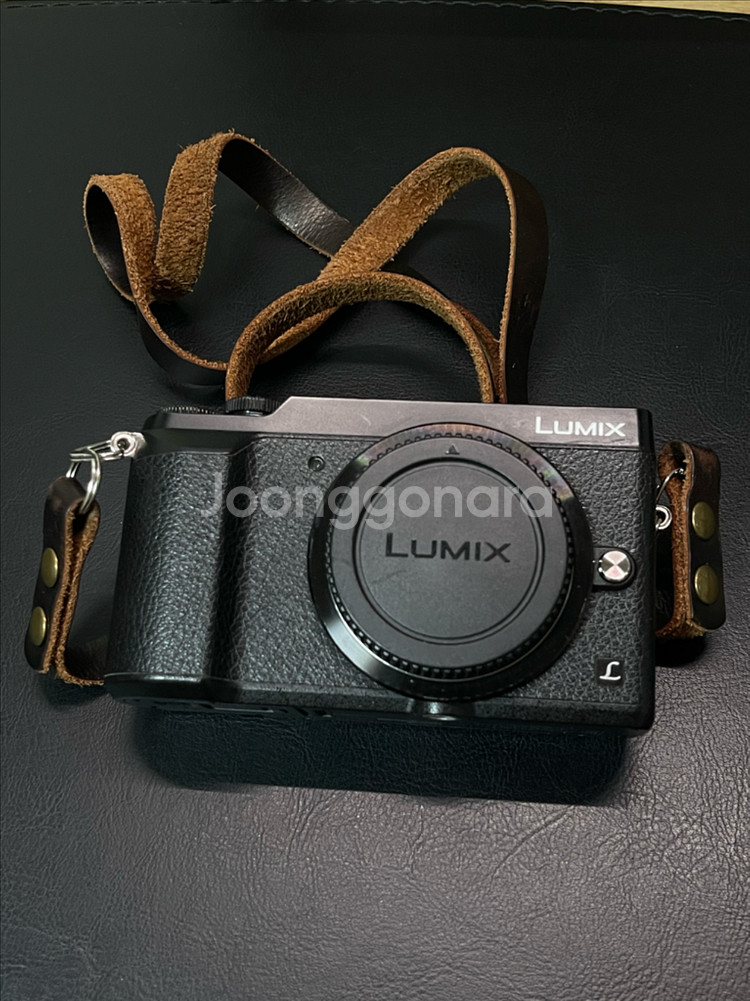파나소닉 루믹스 gx85--1
