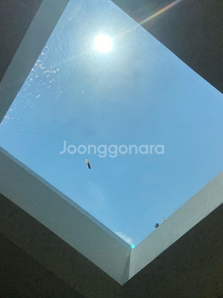 간호 2025년 필통 문제집--0