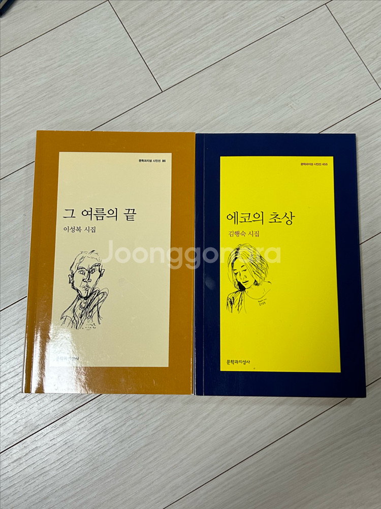 그여름의 끝, 에코의 초상 시집 일괄--0