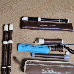 리코더 모음 (Aulos, Angel),돌기단소,한소리