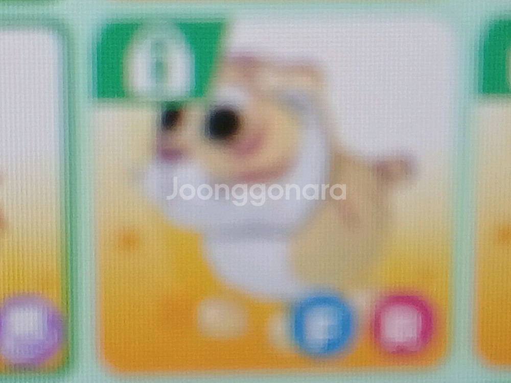 입양하세요 루나 황금 호랑이 0.3--0