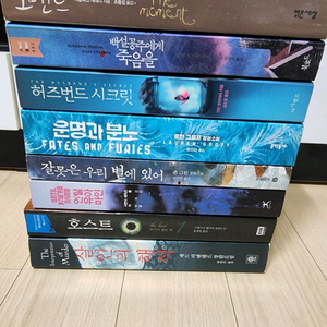 스릴러 로맨스 소설