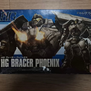 hg 브레이서 피닉스 퍼시픽림
