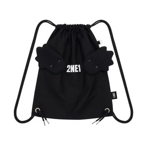 2ne1 날개 백팩 윙 짐색 원가양도 투애니원 yg