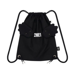 2ne1 날개 백팩 윙 짐색 원가양도 투애니원 yg