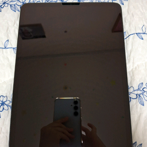 아이패드 프로 11 m1 256gb wifi