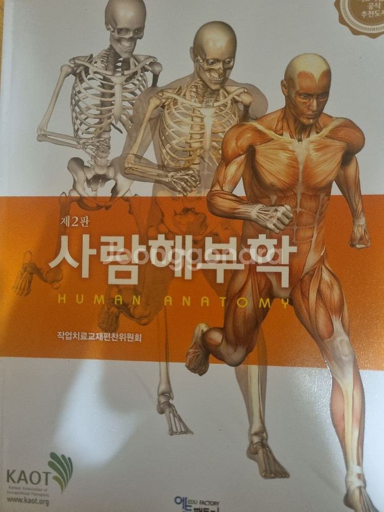 해부학--0