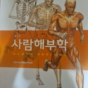 해부학