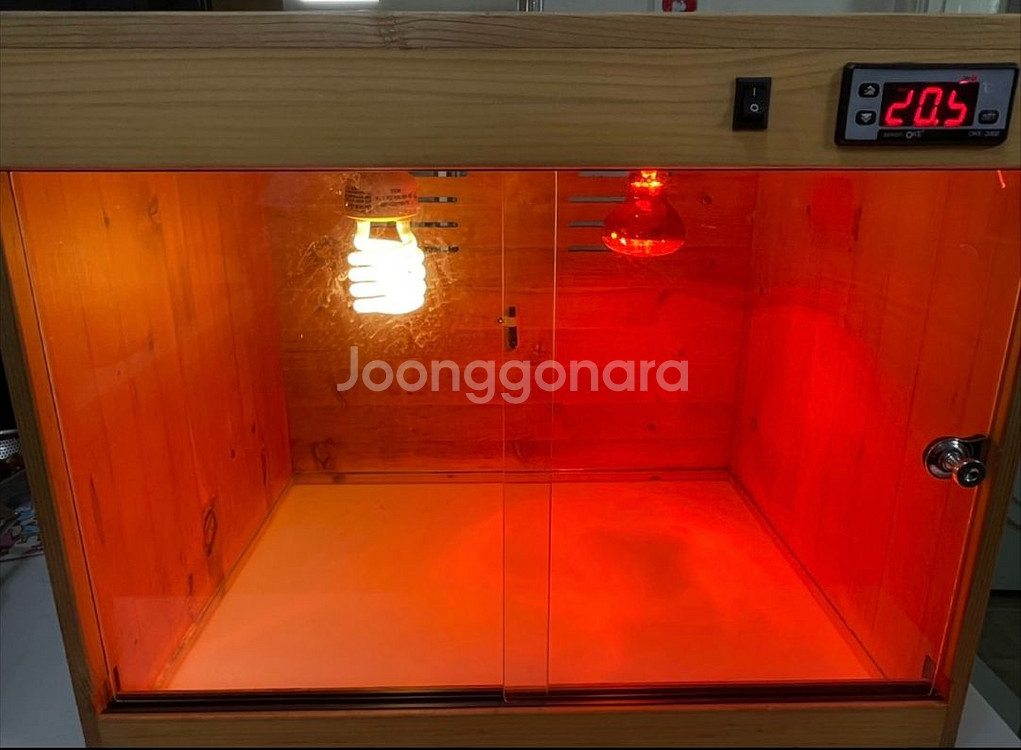 도마뱀 자동온도조절 원목 사육장--1