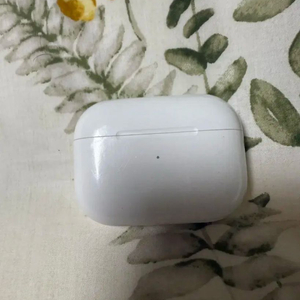 에어팟 프로2 본체 c타입