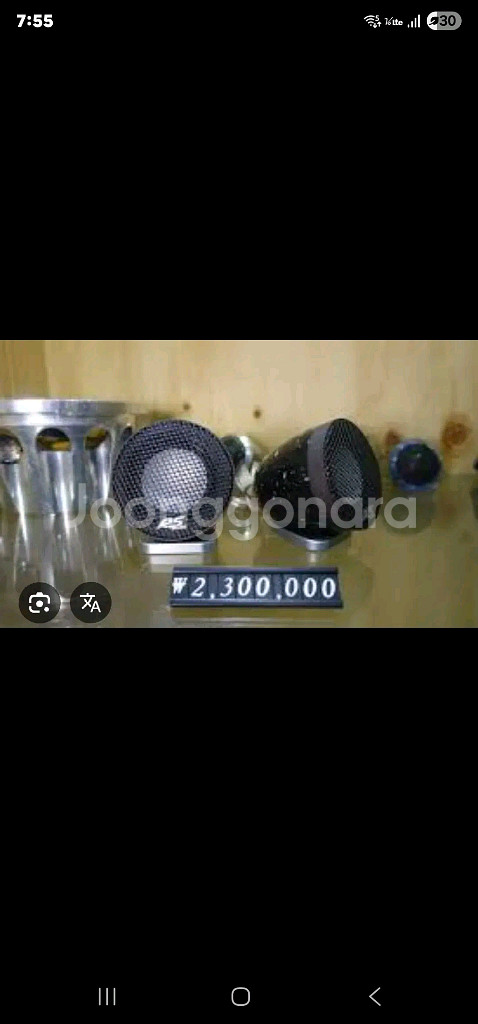 RS Audio HAC 최상급 카오디오 트위터 콘트위터--1