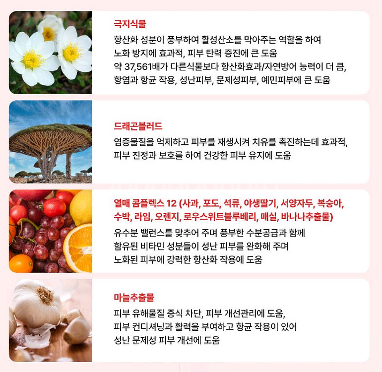 쉬가이아 드래곤블러드 레드세럼 새상품--5