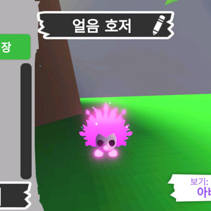 입양하세요 펫 메가 네온 얼음 호저 판매합니다.