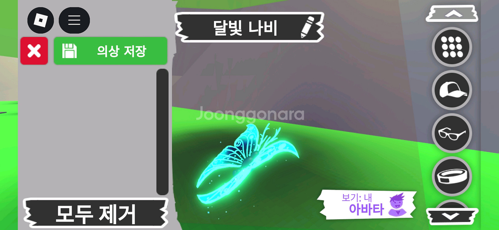 입양하세요 펫 메가 네온 달빛나비 판매합니다--1