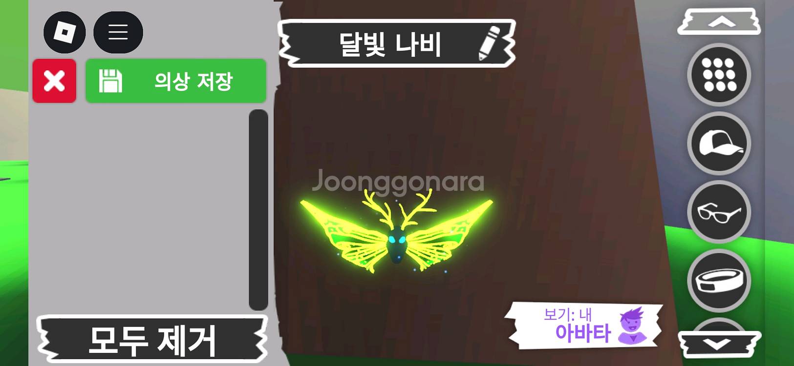 입양하세요 펫 메가 네온 달빛나비 판매합니다--0