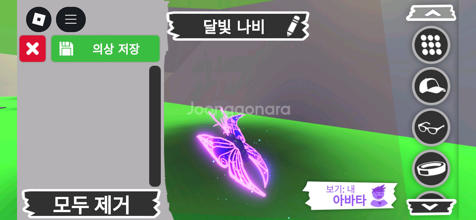 입양하세요 펫 메가 네온 달빛나비 판매합니다--2