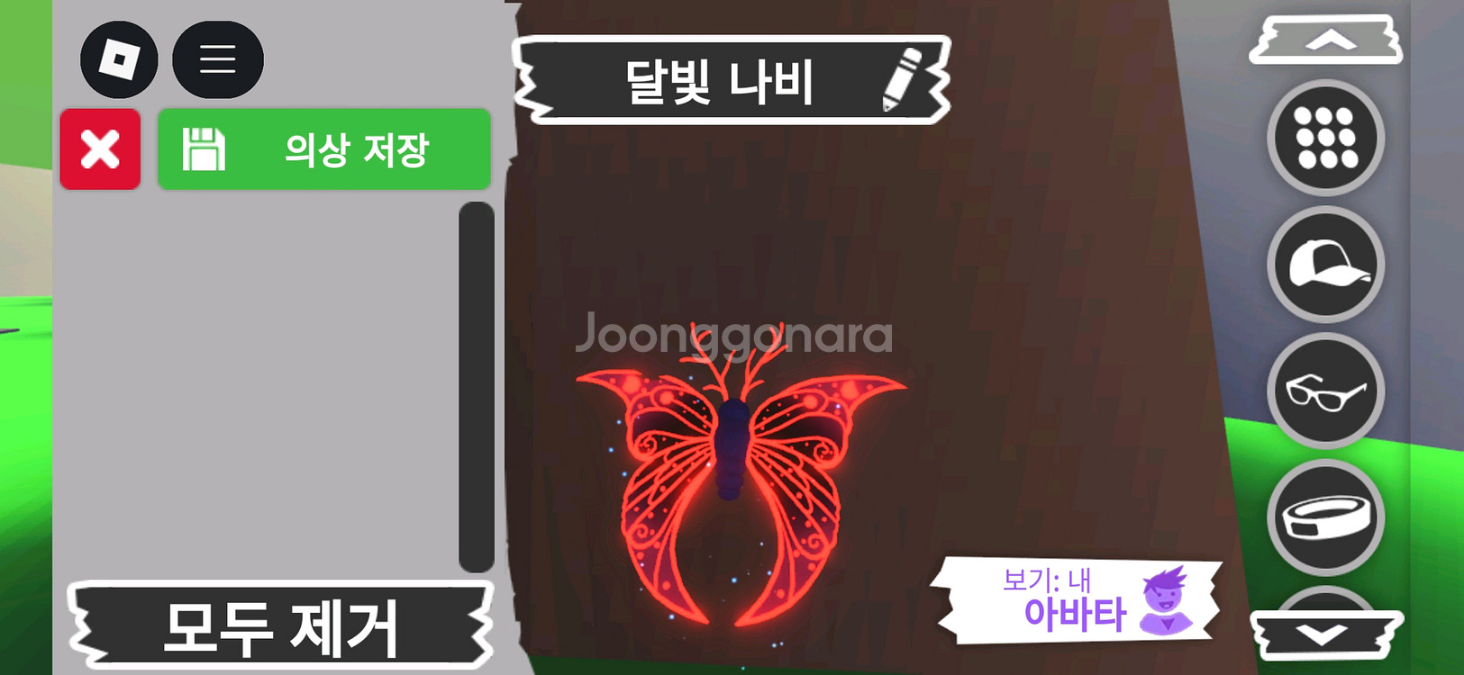 입양하세요 펫 메가 네온 달빛나비 판매합니다--3