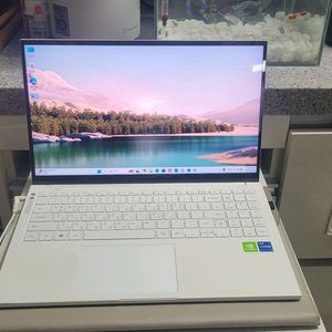 삼성 이온2 i7 11세대 외장그래픽