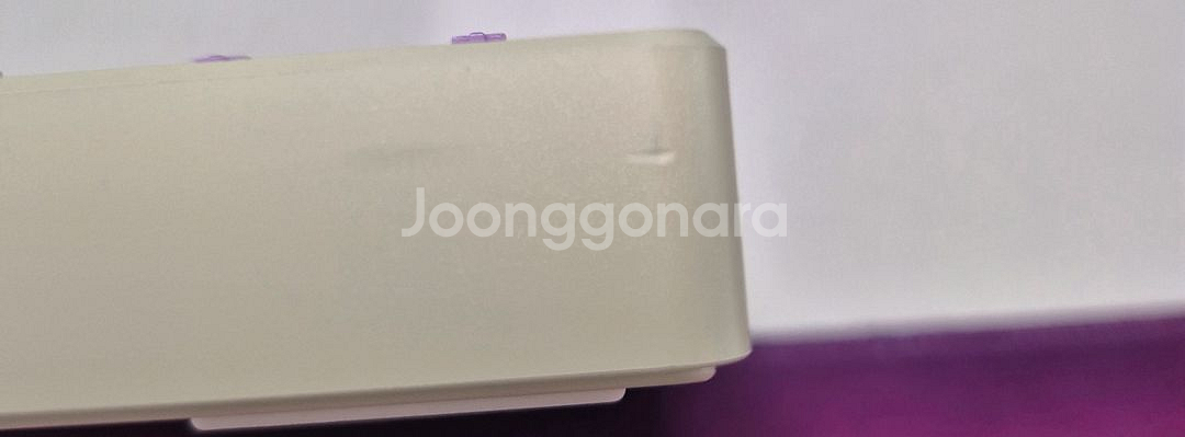 레이니 중옵 치즈화이트(치화)바이올렛--4