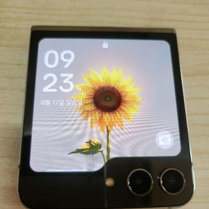 갤럭시 z플립5 민트 512