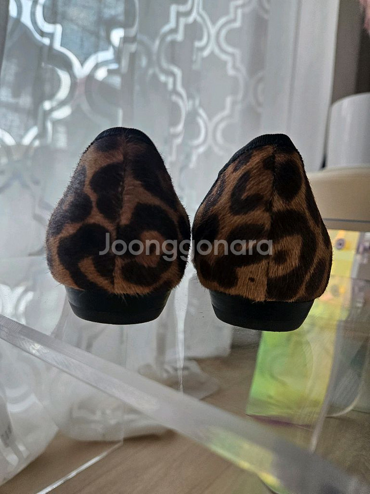 (새신발)Beverly Feldman 신발--5