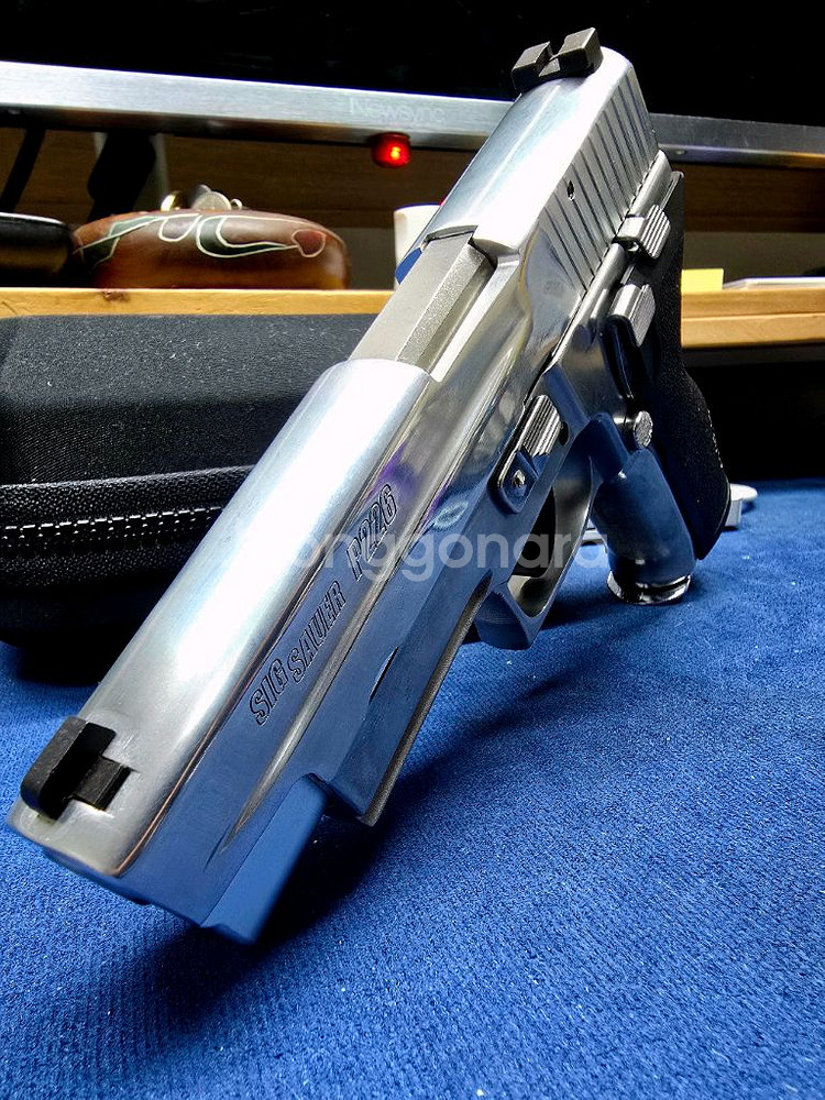 시그 P226 RAIL E2 GUARDER 판매합니다--2